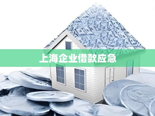 上海企业借款应急