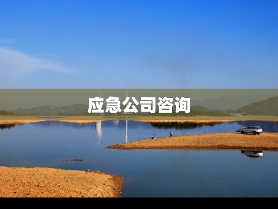 汽车业务应急