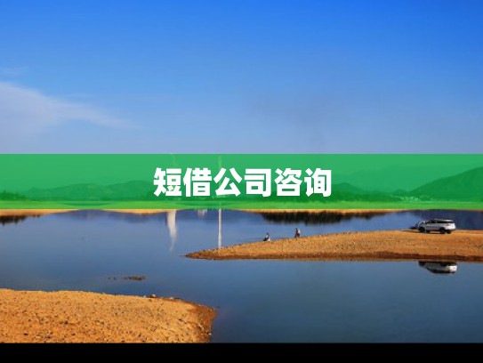 生意业务咨询