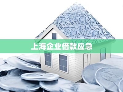 上海企业借款应急