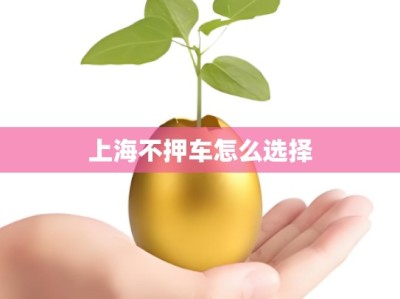 上海不押车怎么选择