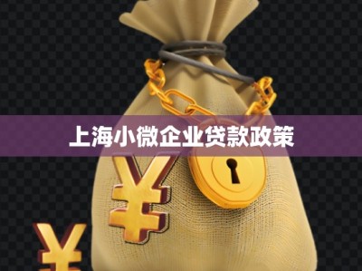 上海小微企业贷款政策