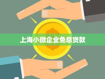 上海小微企业免息贷款