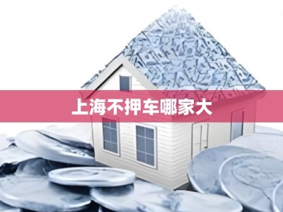 上海不押车哪家大
