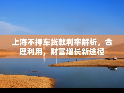 上海中小企业贷款网助力企业发展新篇章