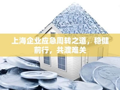 上海企业应急周转之道，稳健前行，共渡难关